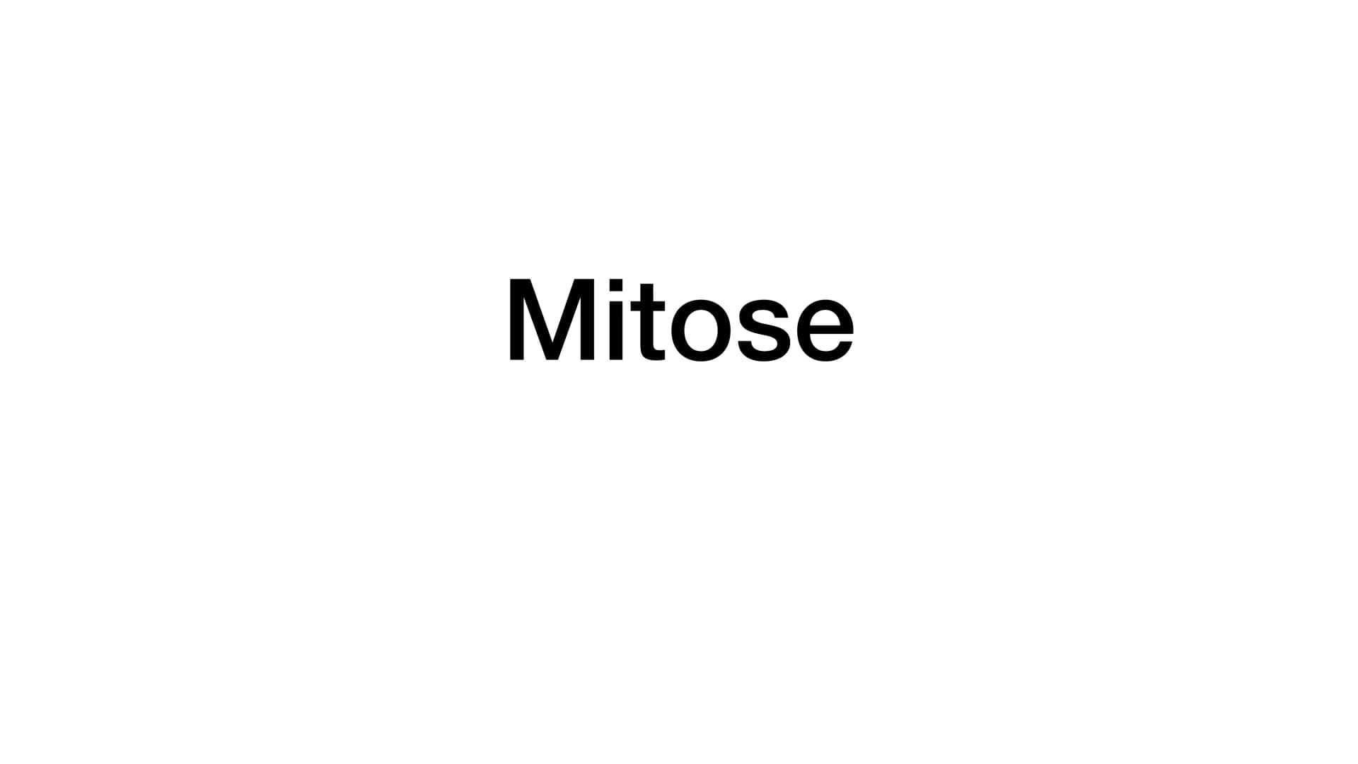 Mitose Was ist eigentlich Mitose ? • Unter Mitose versteht man die Teilung eines Zellkerns
●
Es entstehen zwei erbgleiche Zellen, das bedeut