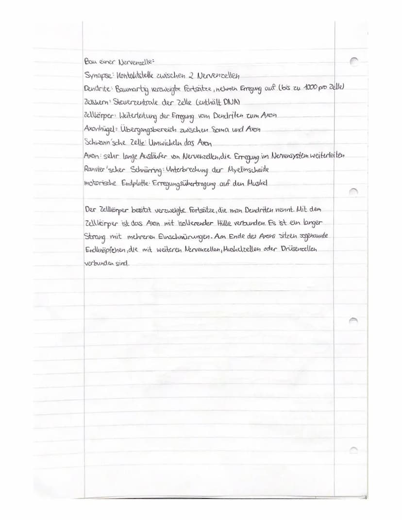 (0)
DAS AUGE:
teil des auges
1.
2.
3.
4.
S.
6.
7.
8.
9.
10.
Hornhaut
Iris / Regenbogenhaut
Pupille
Linse
Glaskörper
Lederhaut
Aderhaut
Netzh