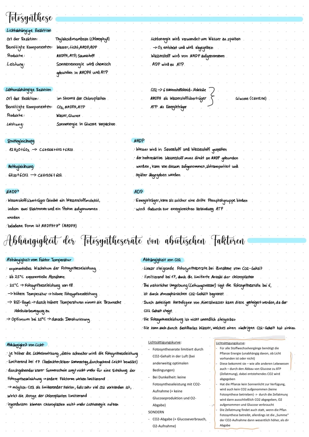 Blattaufban
Ökologie
obere Epidermis
Schutz des Organismus vor schädlichen Einflüssen. Als oberste verhindert
sie das Eindringen schädlicher