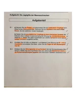 Know Neurobiologie Vorabiklausur thumbnail