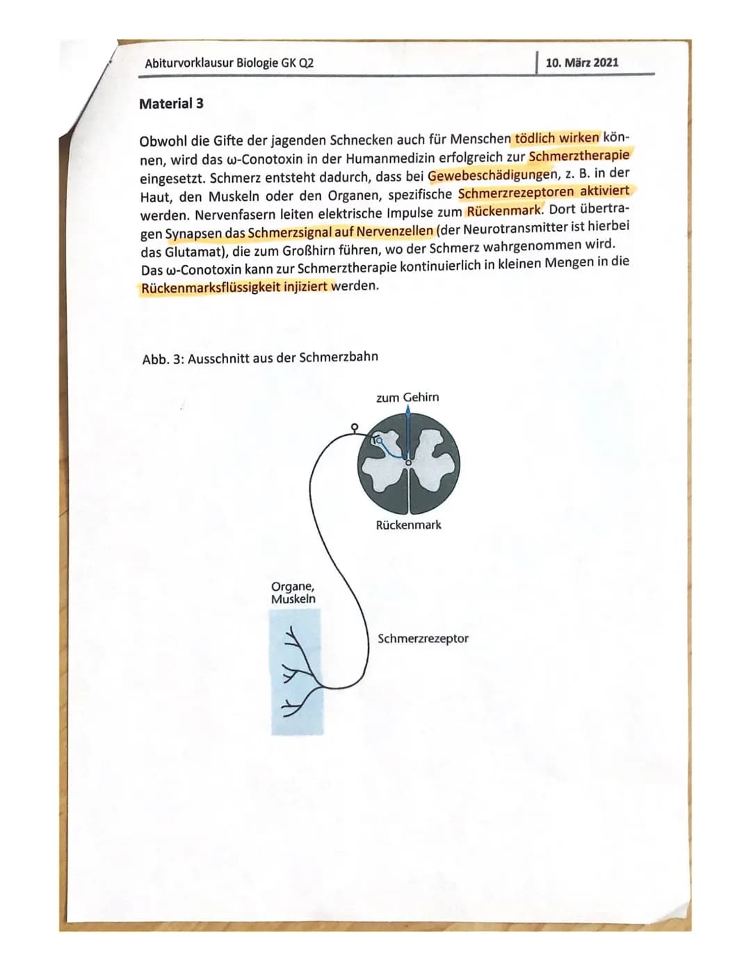 Aufgabe B: Die Jagdgifte der Meeresschnecken
B.1
B.2
B.3
Aufgabenteil
a) Nennen Sie die Phasen und beschreiben Sie die molekularen Vorgänge 