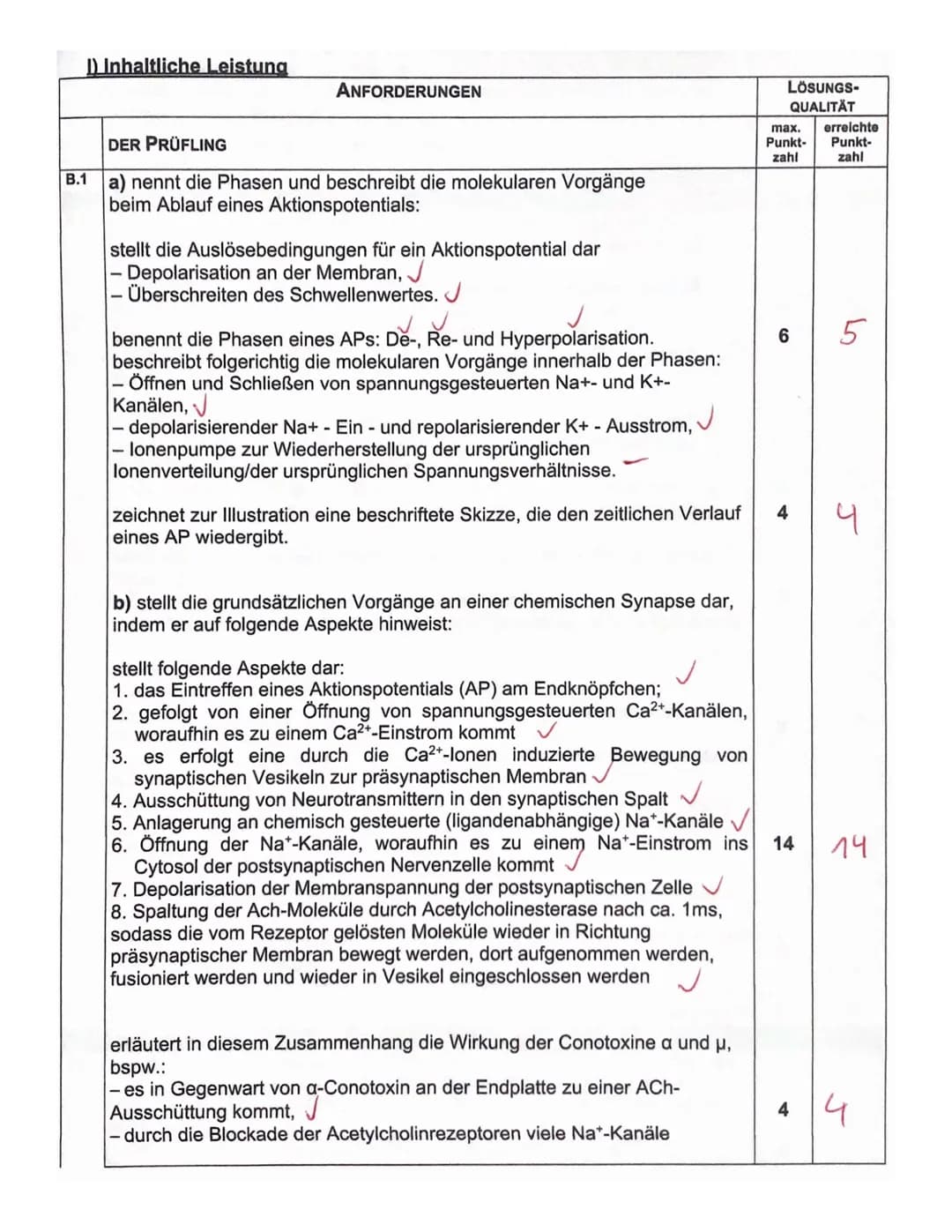 Aufgabe B: Die Jagdgifte der Meeresschnecken
B.1
B.2
B.3
Aufgabenteil
a) Nennen Sie die Phasen und beschreiben Sie die molekularen Vorgänge 