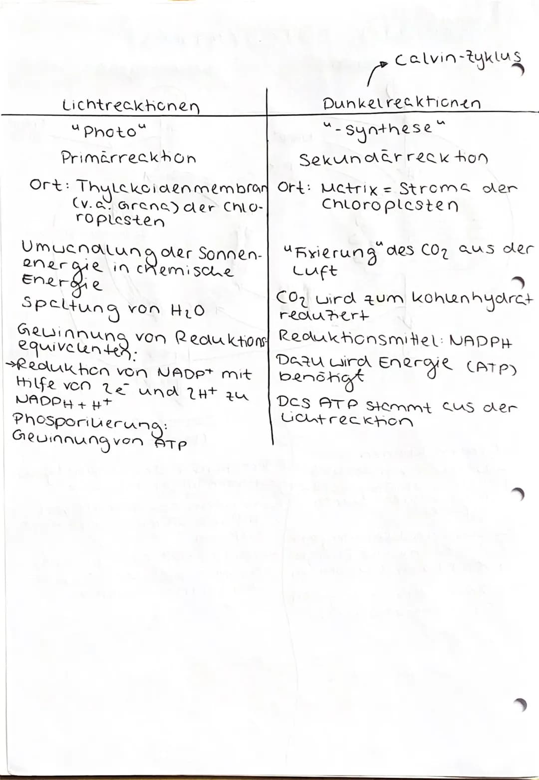 UBERBLICK FOTOSYNTHESE
Lichtreaktion
H₂O
Fotosystem II
Elektronentransport kett
to system
Lichtrecktionen
NADP+
ADP
+ Ⓡ
w
>ΣΑΤΡΙ
TiN
NADPH
>