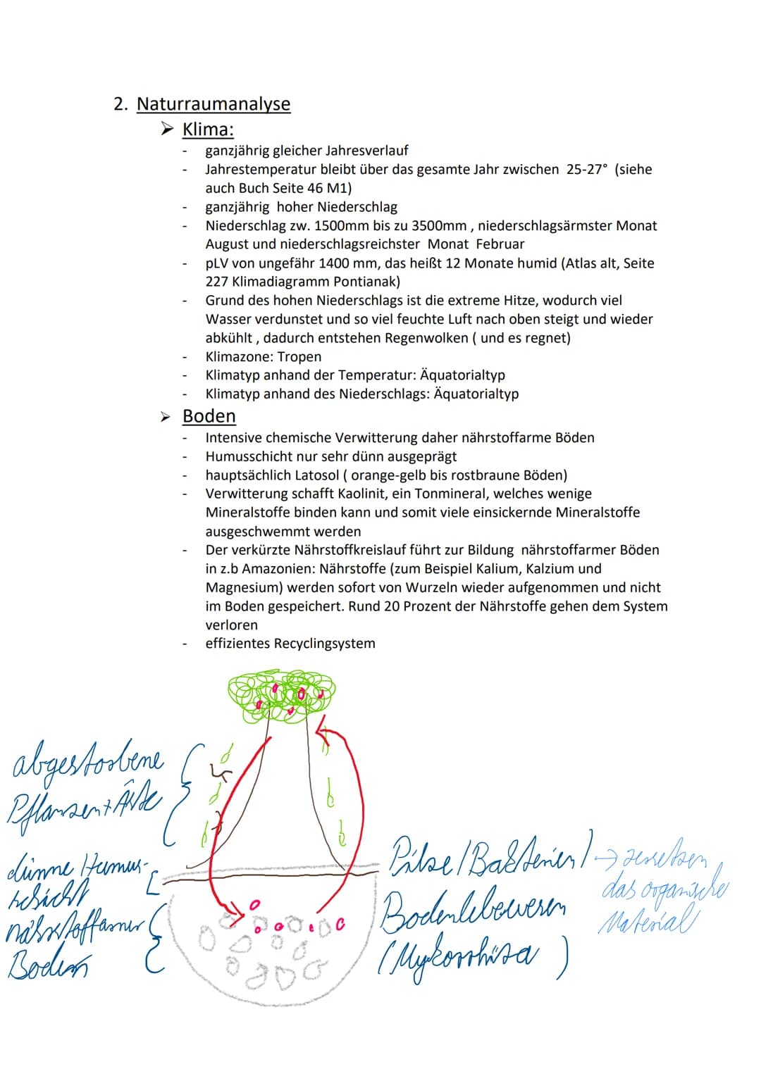 Geoökosystem tropischer Regenwald
Lokalisierung und Naturraumanalyse
1. Lokalisierung
Mittel/
(Sudamerika)
O liegt nahe am Äquator, genauer 