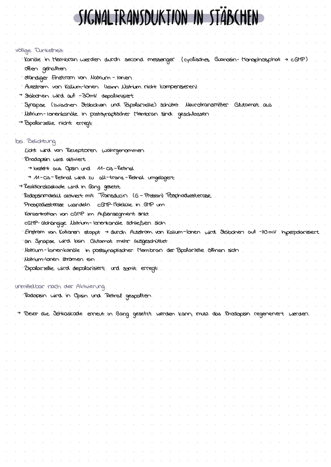 SIGNAL TRANSDUKTION IN STÄBCHEN
völlige Dunkelheit
•Kanäle in Membran werden durch second messenger (cyclisches Guanosin- Manophosphat → cGM