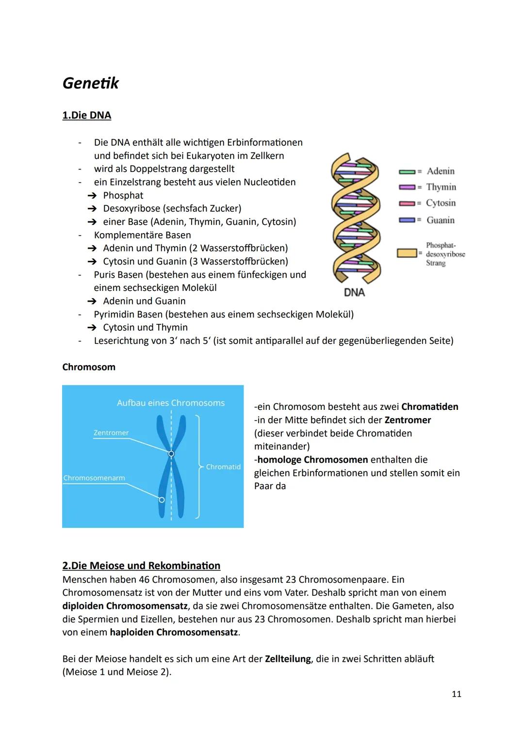 Ökologie
1.Definition
Die Ökologie beschäftigt sich mit der Wissenschaft von den Wechselbeziehungen zwischen
den Lebewesen und ihrer Umwelt.