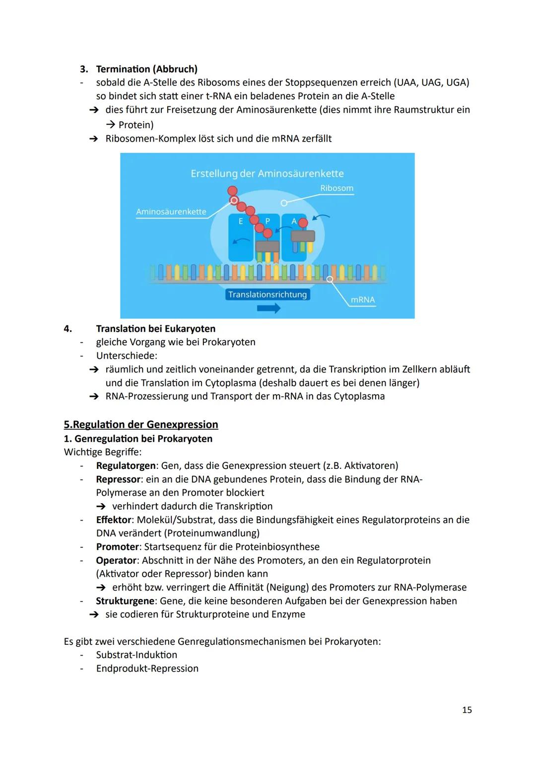 Ökologie
1.Definition
Die Ökologie beschäftigt sich mit der Wissenschaft von den Wechselbeziehungen zwischen
den Lebewesen und ihrer Umwelt.