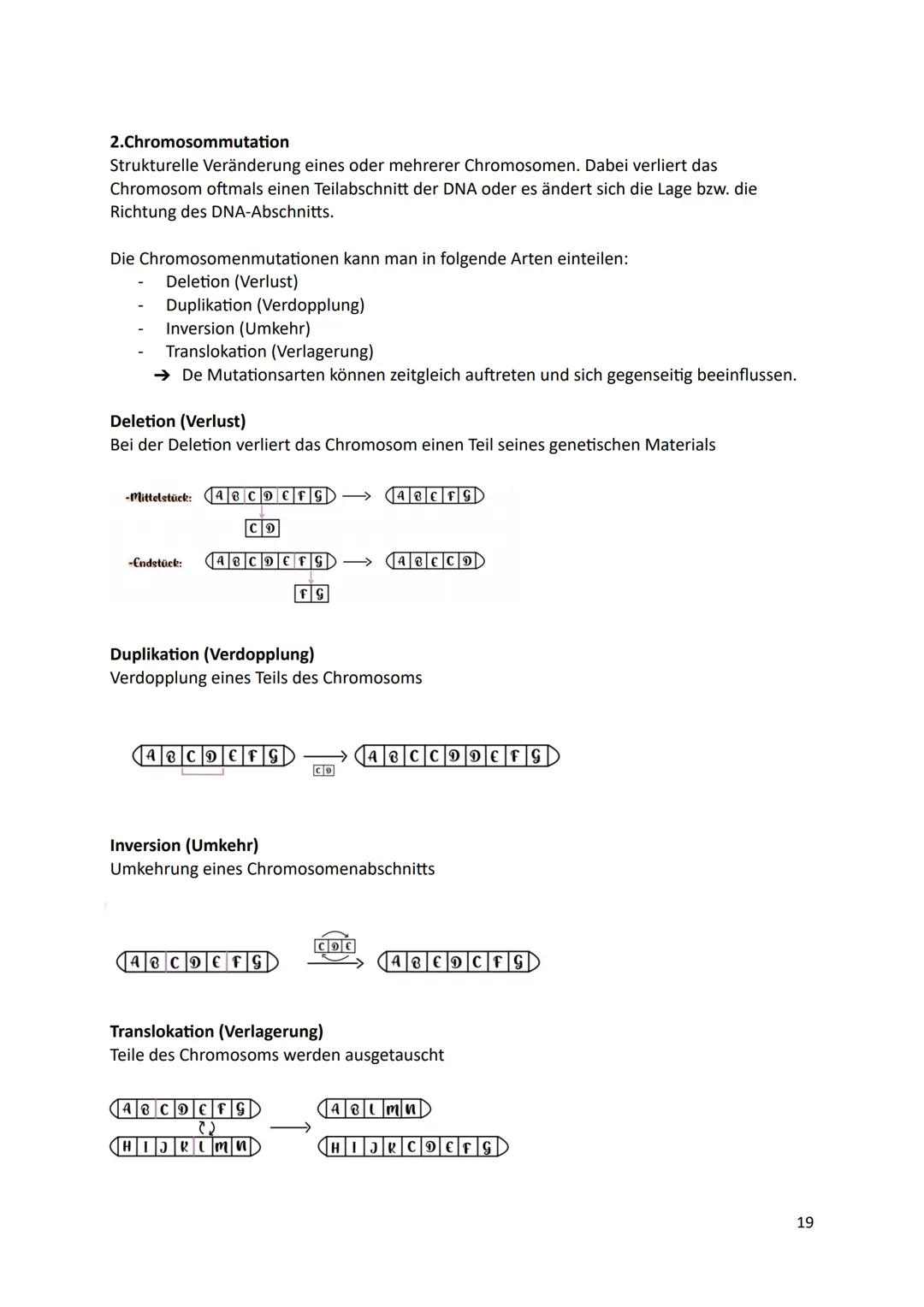 Ökologie
1.Definition
Die Ökologie beschäftigt sich mit der Wissenschaft von den Wechselbeziehungen zwischen
den Lebewesen und ihrer Umwelt.