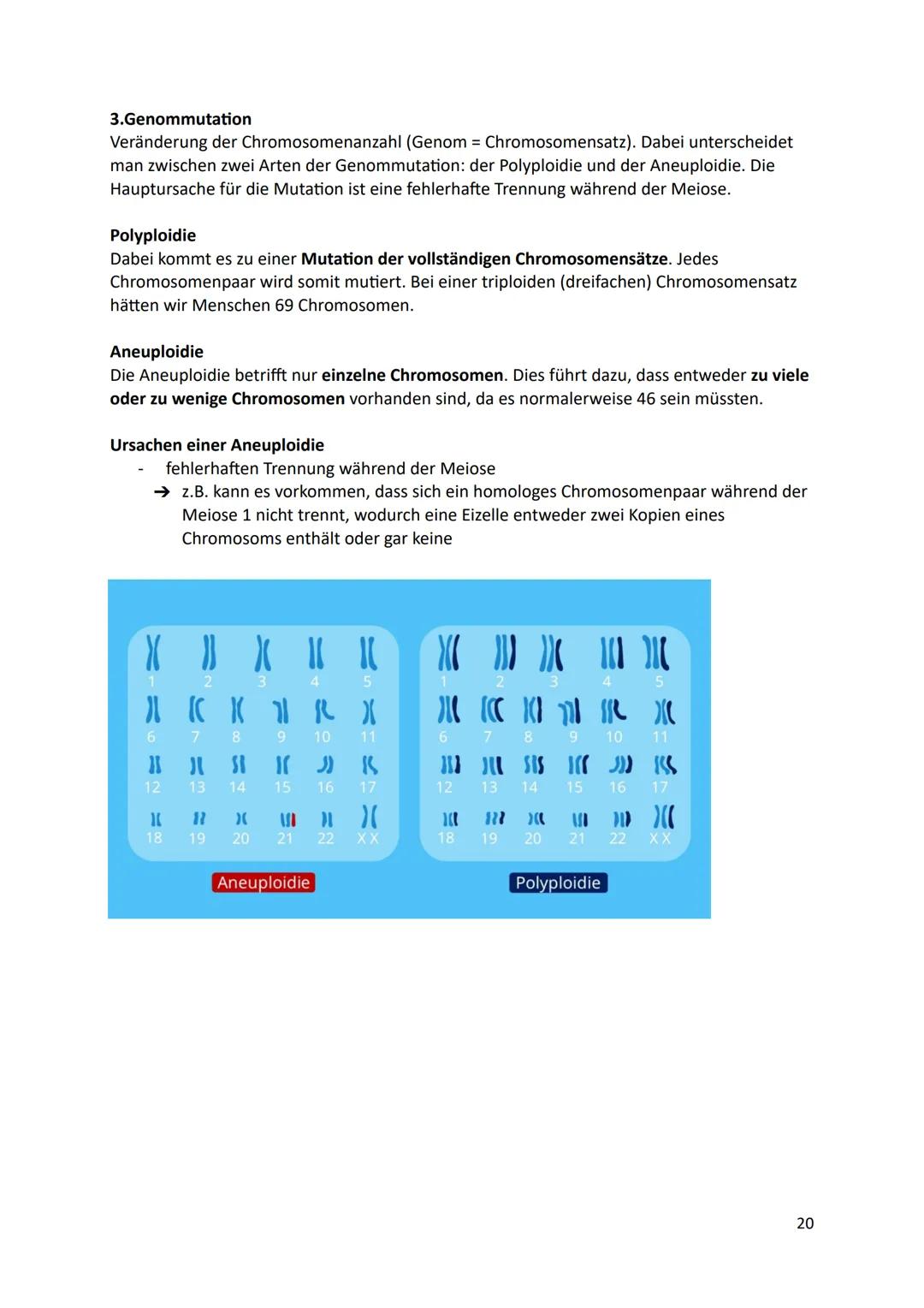 Ökologie
1.Definition
Die Ökologie beschäftigt sich mit der Wissenschaft von den Wechselbeziehungen zwischen
den Lebewesen und ihrer Umwelt.