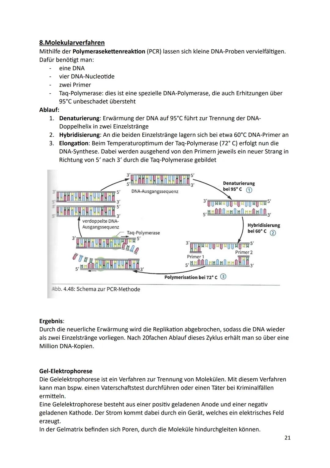 Ökologie
1.Definition
Die Ökologie beschäftigt sich mit der Wissenschaft von den Wechselbeziehungen zwischen
den Lebewesen und ihrer Umwelt.