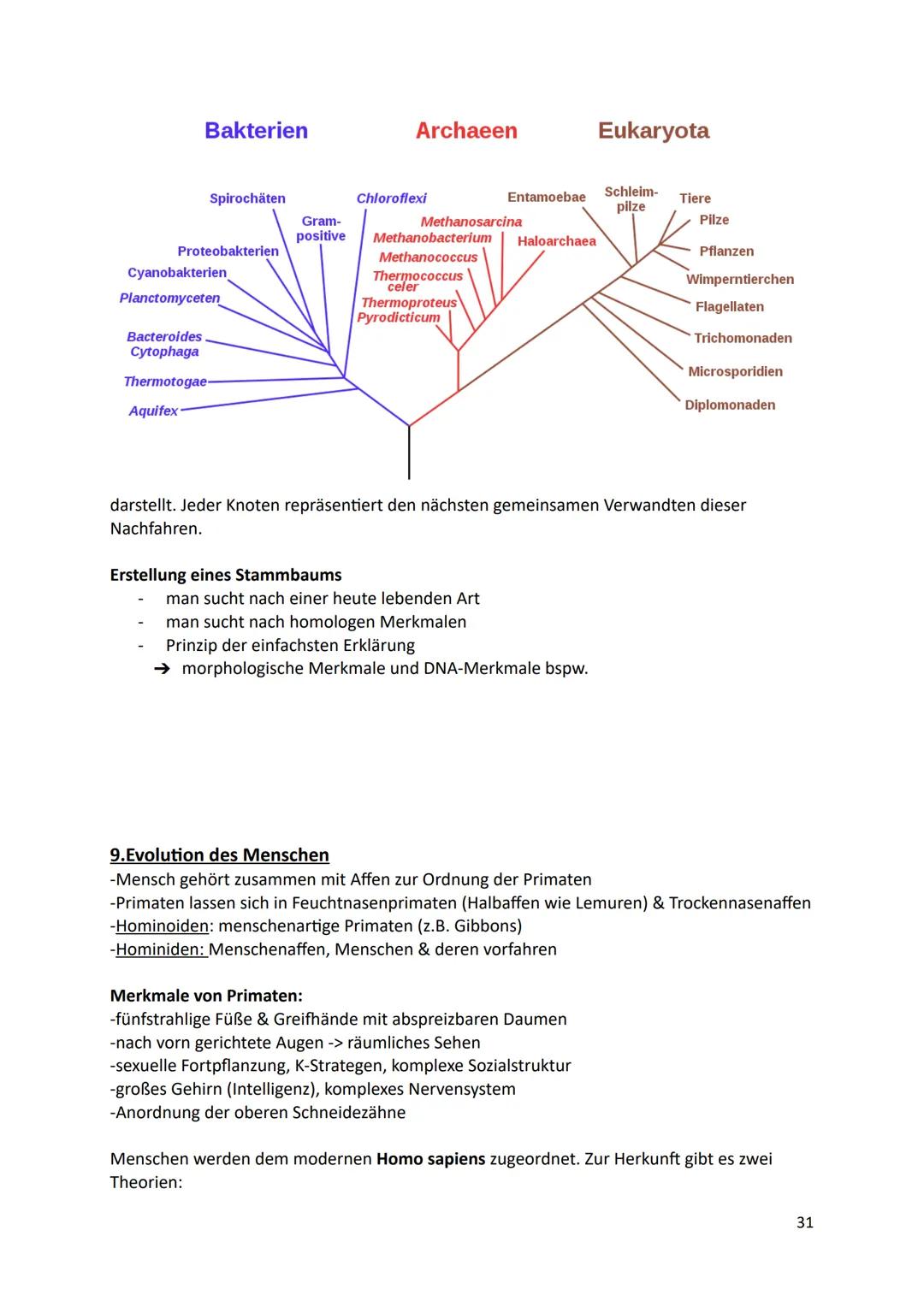 Ökologie
1.Definition
Die Ökologie beschäftigt sich mit der Wissenschaft von den Wechselbeziehungen zwischen
den Lebewesen und ihrer Umwelt.