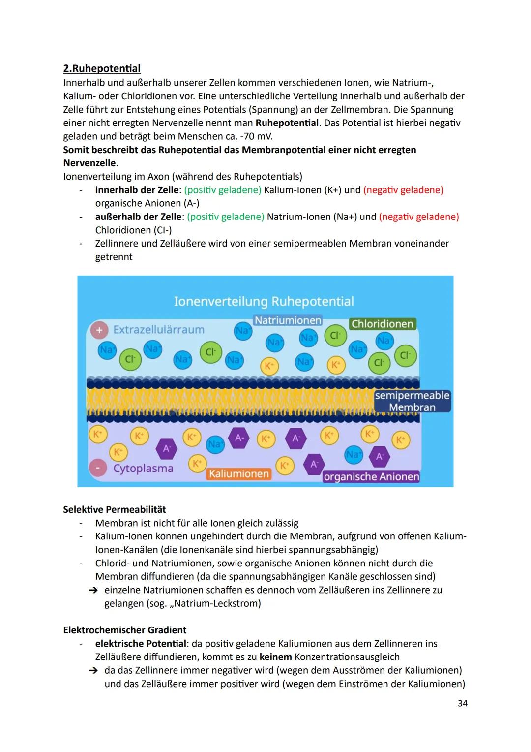 Ökologie
1.Definition
Die Ökologie beschäftigt sich mit der Wissenschaft von den Wechselbeziehungen zwischen
den Lebewesen und ihrer Umwelt.