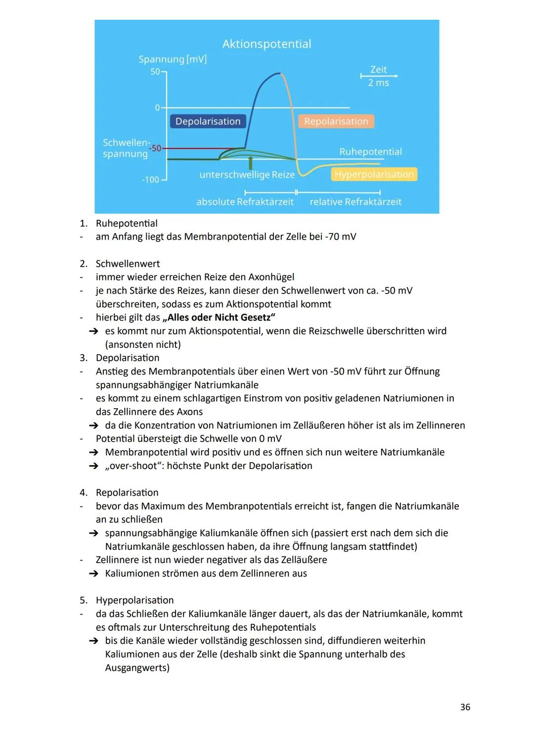 Ökologie
1.Definition
Die Ökologie beschäftigt sich mit der Wissenschaft von den Wechselbeziehungen zwischen
den Lebewesen und ihrer Umwelt.