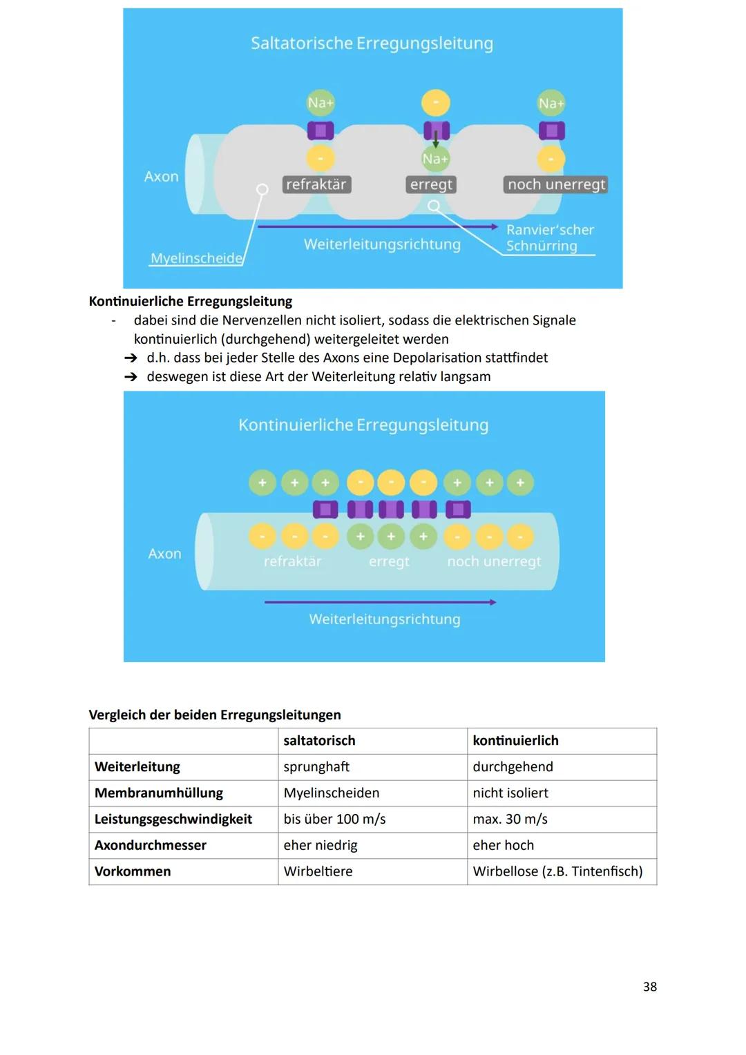 Ökologie
1.Definition
Die Ökologie beschäftigt sich mit der Wissenschaft von den Wechselbeziehungen zwischen
den Lebewesen und ihrer Umwelt.