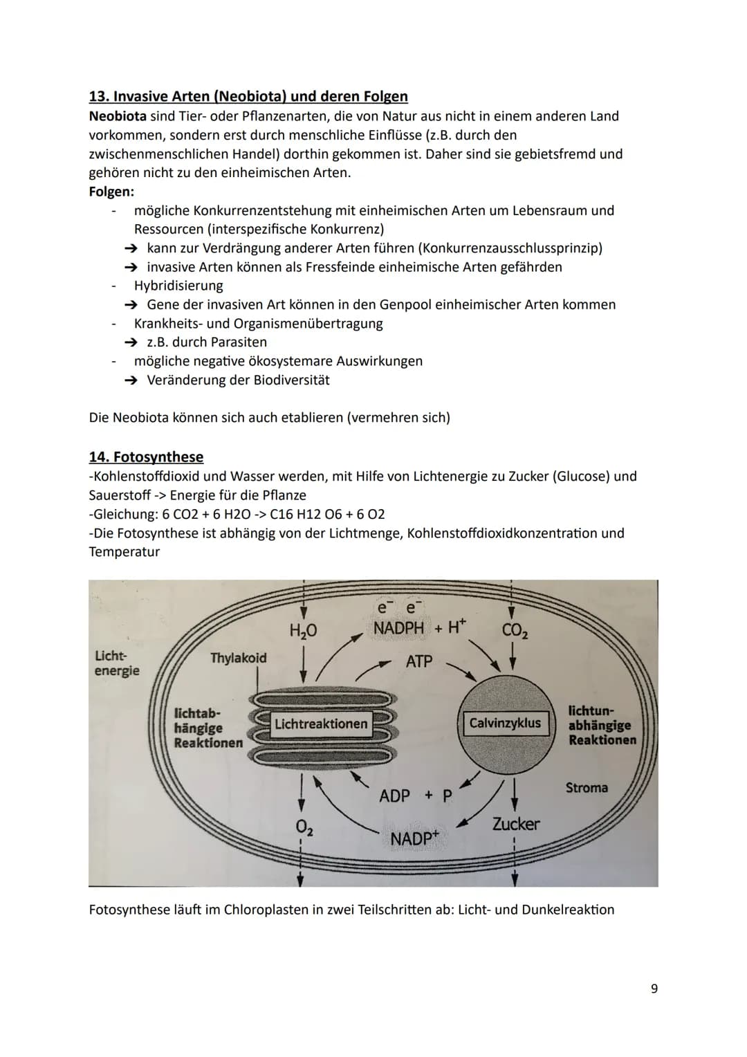 Ökologie
1.Definition
Die Ökologie beschäftigt sich mit der Wissenschaft von den Wechselbeziehungen zwischen
den Lebewesen und ihrer Umwelt.