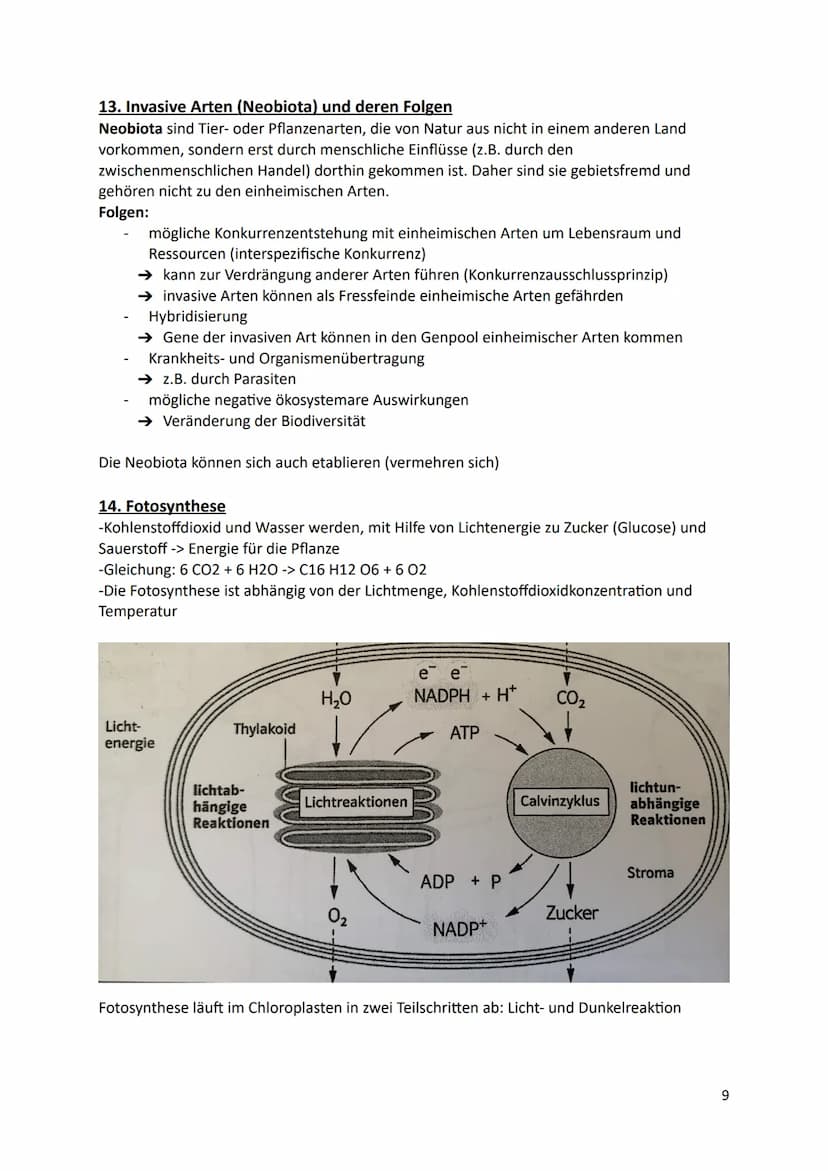 Ökologie
1.Definition
Die Ökologie beschäftigt sich mit der Wissenschaft von den Wechselbeziehungen zwischen
den Lebewesen und ihrer Umwelt.