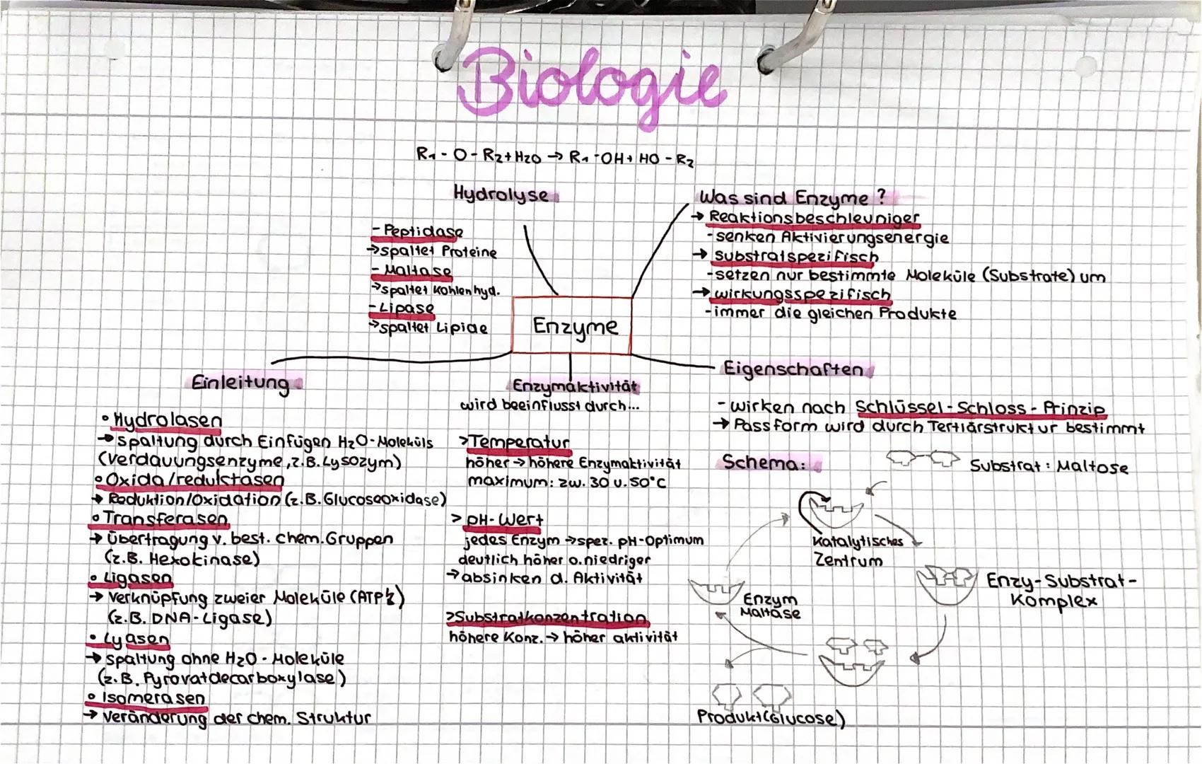 。 
# Biologie
$R_1-O-R_2 + H_2O \rightarrow R_1-OH + HO-R_2$
## Hydrolyse

- Peptidase
  * spaltet Proteine
- Maltase
  * spaltet Kohlenhyd.