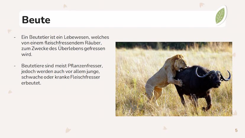 STINA
DEFINITIONEN
RÄUBER:
BEUTE:
ÖKOSYSTEM:
ÖKOSYSTEM WALD
DEFINITION:
NAHRUNGSBEZIEHUNGEN: -EIN SYSTEM, VON BEZIEHUNGEN ZWISCHEN ORGANISME