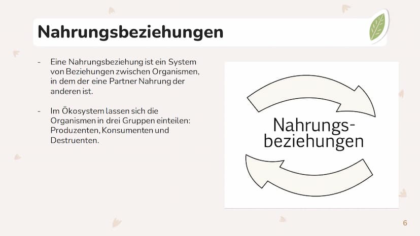 STINA
DEFINITIONEN
RÄUBER:
BEUTE:
ÖKOSYSTEM:
ÖKOSYSTEM WALD
DEFINITION:
NAHRUNGSBEZIEHUNGEN: -EIN SYSTEM, VON BEZIEHUNGEN ZWISCHEN ORGANISME
