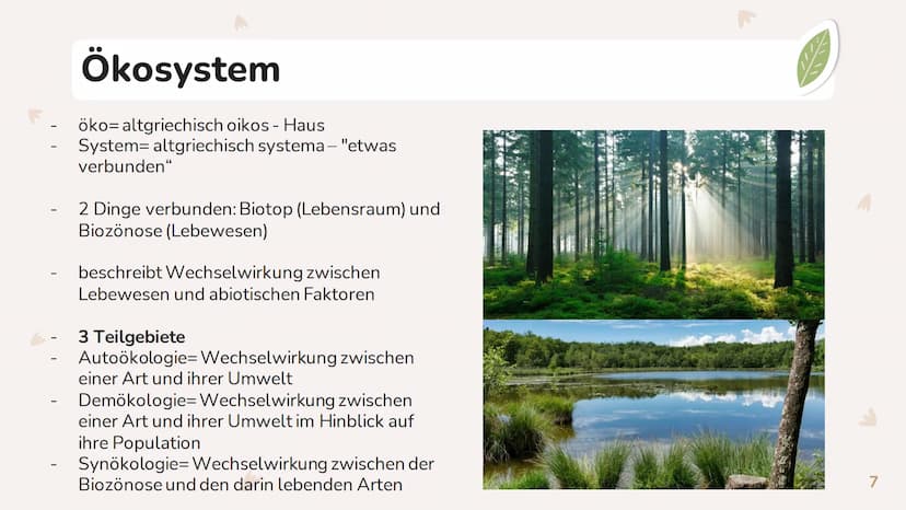 STINA
DEFINITIONEN
RÄUBER:
BEUTE:
ÖKOSYSTEM:
ÖKOSYSTEM WALD
DEFINITION:
NAHRUNGSBEZIEHUNGEN: -EIN SYSTEM, VON BEZIEHUNGEN ZWISCHEN ORGANISME