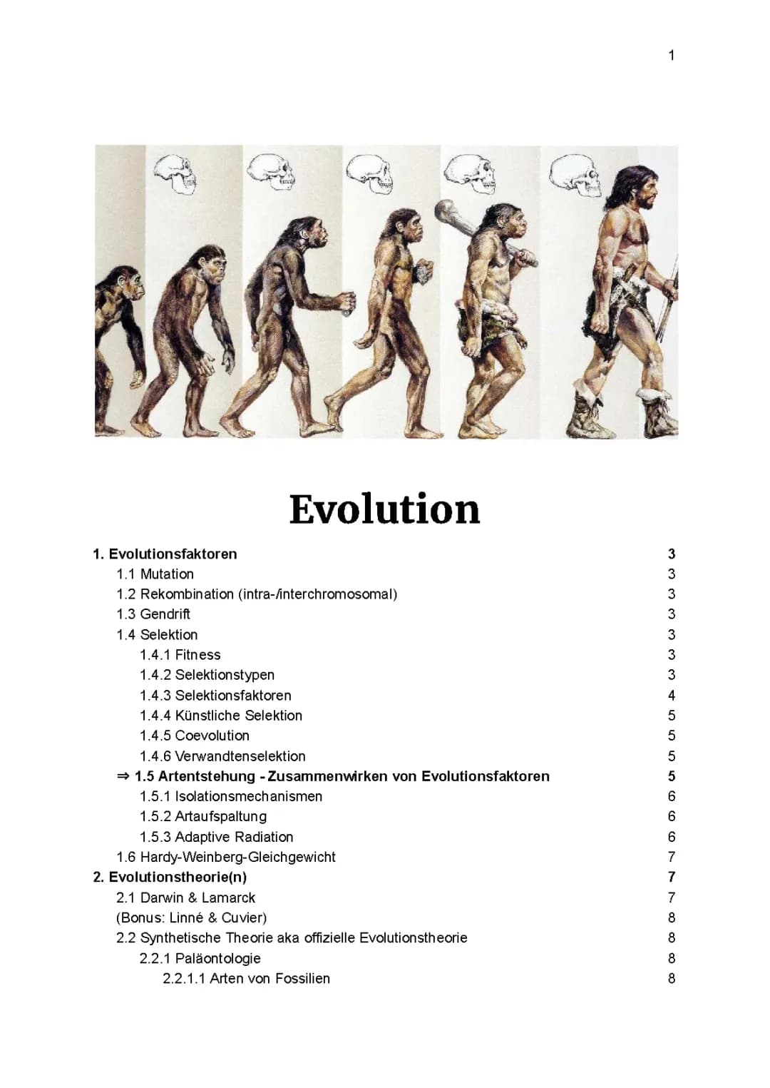 Evolutionsfaktoren und der spannende Vergleich von Mensch und Schimpanse
