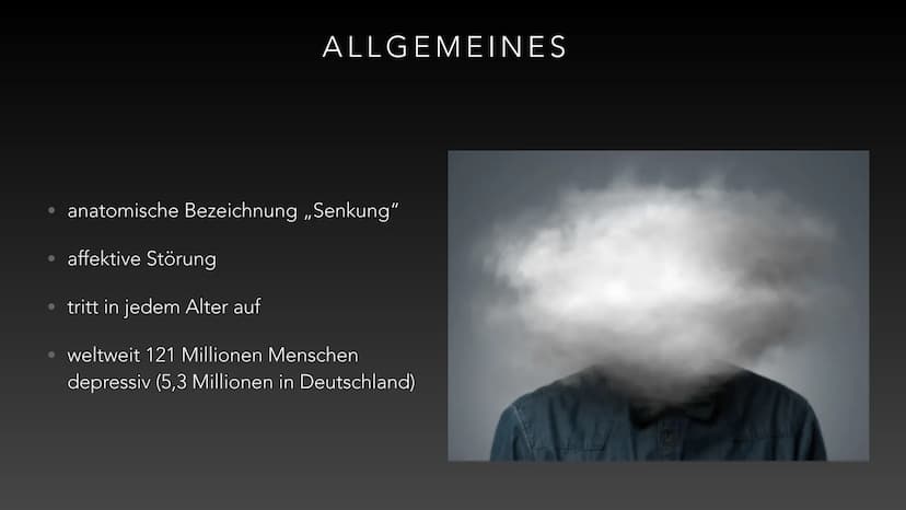 VON LENA A. UND LILLIANA G.
DEPRESSION DEFINITIONEN WICHTIGER BEGRIFFE
• affektive Störung: emotionale Störung, beschreibt übermäßige Trauer