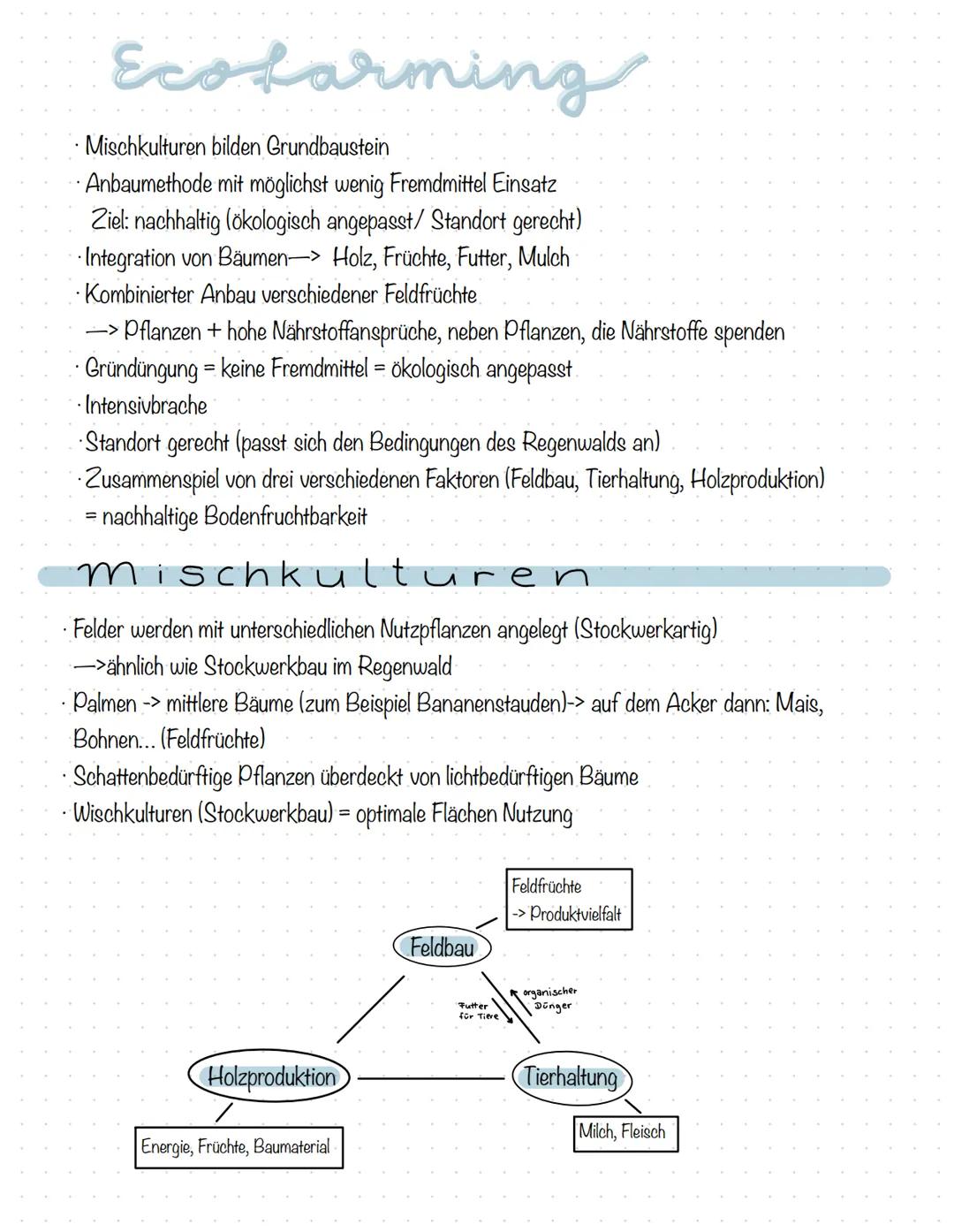 Ecofarming.
Mischkulturen bilden Grundbaustein
Anbaumethode mit möglichst wenig Fremdmittel Einsatz
Ziel: nachhaltig (ökologisch angepasst/S