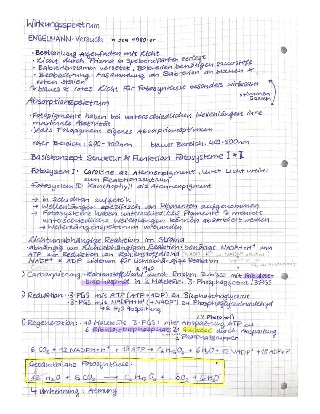 # STOFF- UND ENERGIEWECHSELVORGANG

Assimilation
Energiezufuvir

autotroph
- Aufnahme
- anorganischer
- energiearme
stoffe

Fotosynthese che