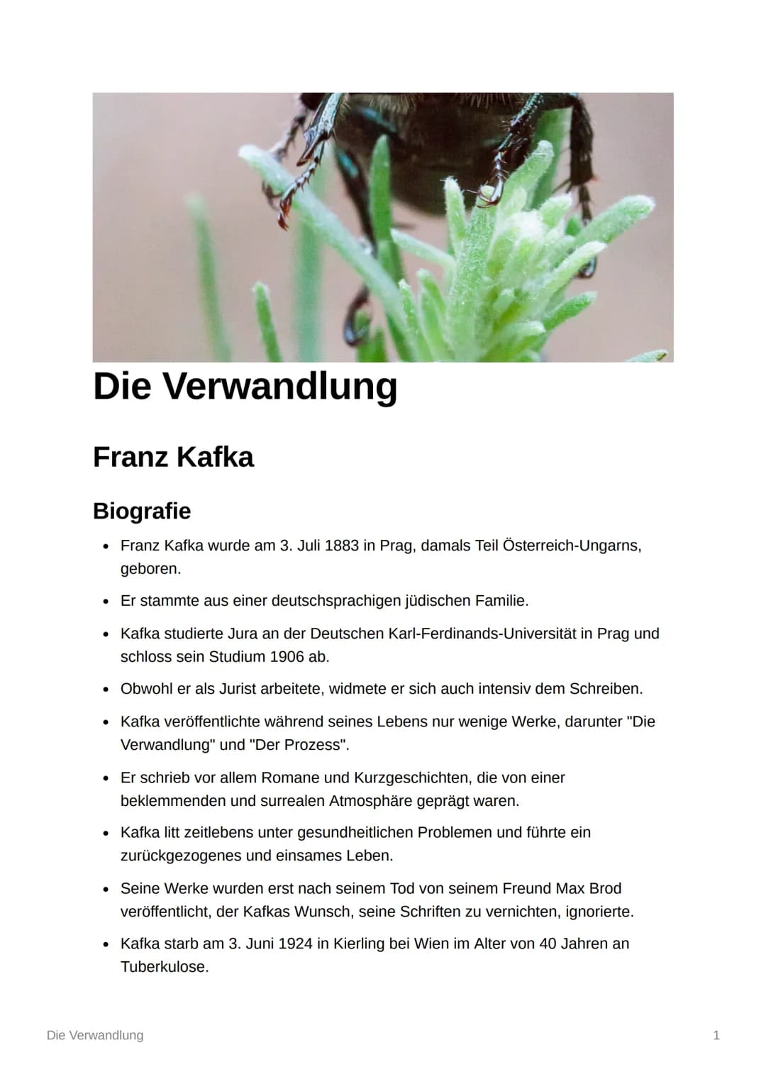 Die Verwandlung
Franz Kafka
Biografie
Franz Kafka wurde am 3. Juli 1883 in Prag, damals Teil Österreich-Ungarns,
geboren.
●
• Er stammte aus