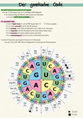 Know Der Genetische Code thumbnail