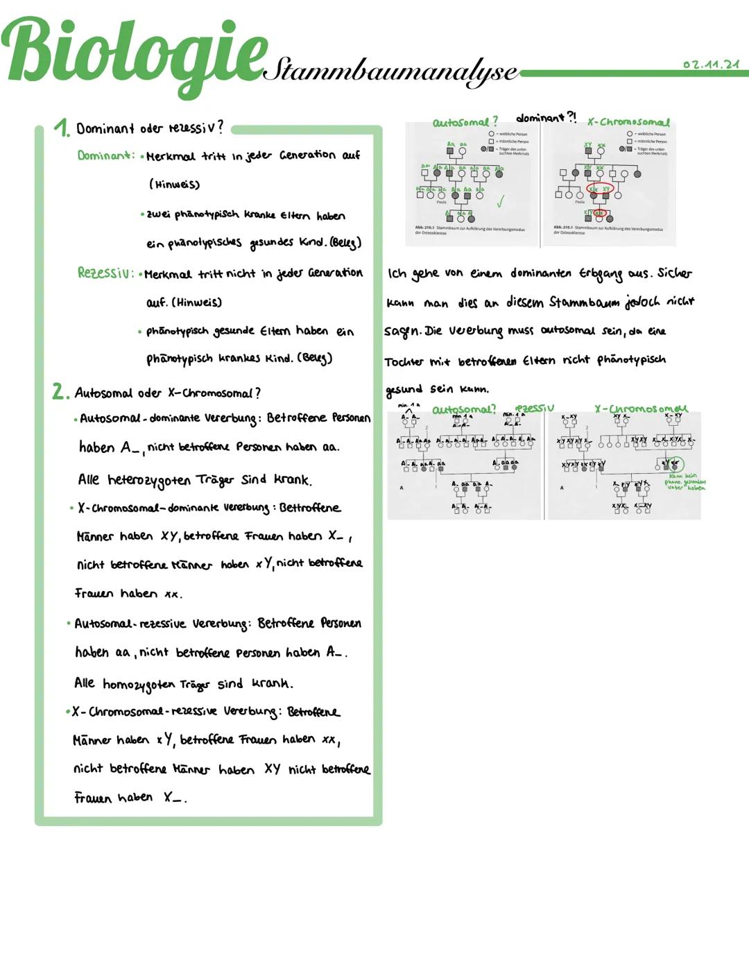 # Biologie Niammbaumanalyse

1. Dominant oder rezessiv?

Dominant: Merkmal tritt in jeder Generation auf

(Hinweis)

- zwei phānotypisch kra