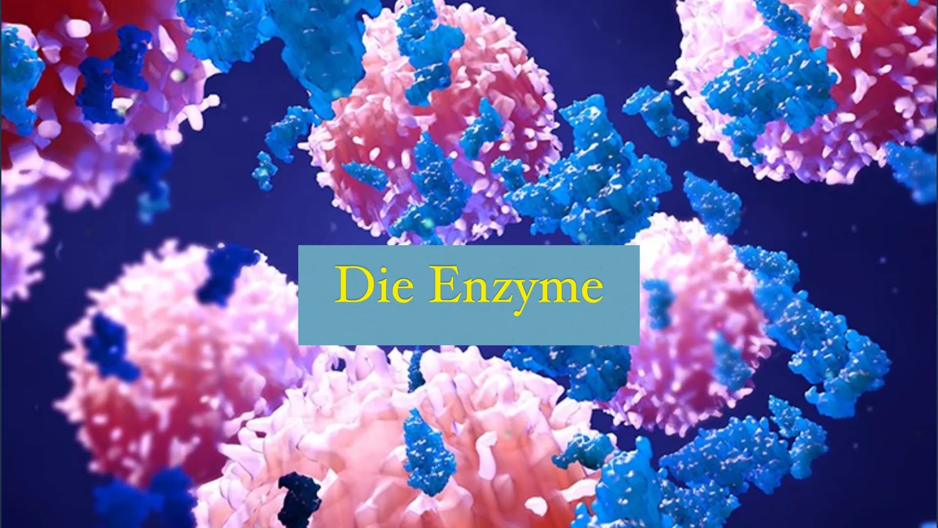 Die Enzyme Inhaltsverzeichnis
* Was sind Enzyme?
Wie sind Enzyme aufgebaut?
Welche Funktion haben Enzyme?
Was für Besonderheiten besitzen si