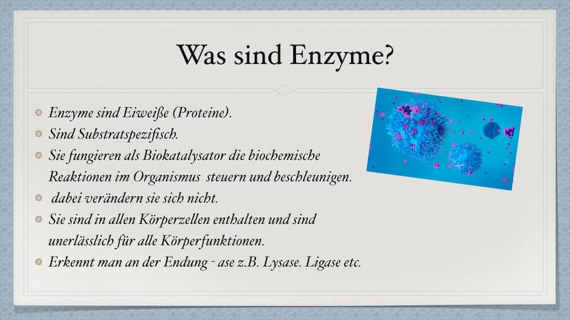 Die Enzyme Inhaltsverzeichnis
* Was sind Enzyme?
Wie sind Enzyme aufgebaut?
Welche Funktion haben Enzyme?
Was für Besonderheiten besitzen si