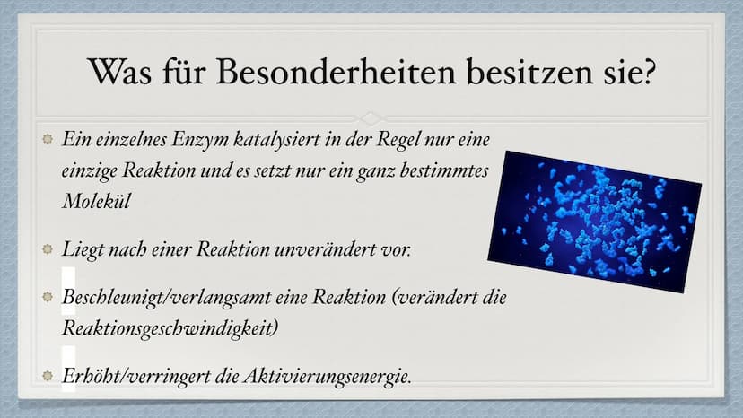 Die Enzyme Inhaltsverzeichnis
* Was sind Enzyme?
Wie sind Enzyme aufgebaut?
Welche Funktion haben Enzyme?
Was für Besonderheiten besitzen si