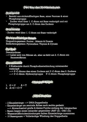 Know DNA Aufbau & Chargaff-Regeln thumbnail