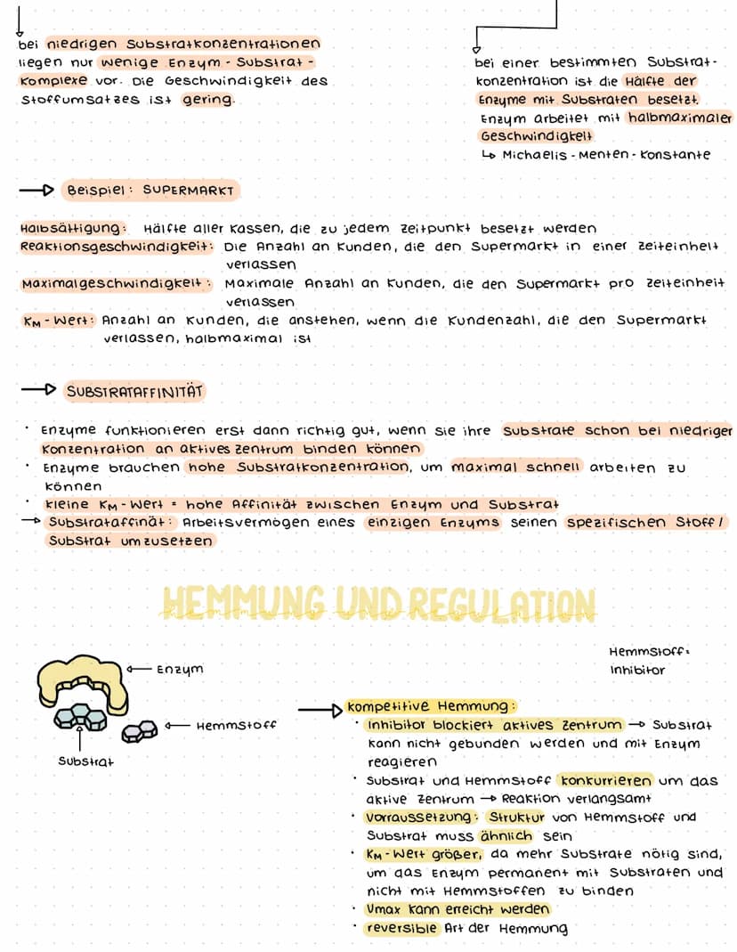  → Enzyme sind Biokatalysatoren:
beschleunigen chemische Reaktionen
setzen die Aktivierung senergie herab
ändern nicht die Lage des Gleichge