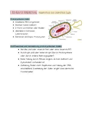 Know 1. EF Biologie Klausur Vorbereitung  thumbnail