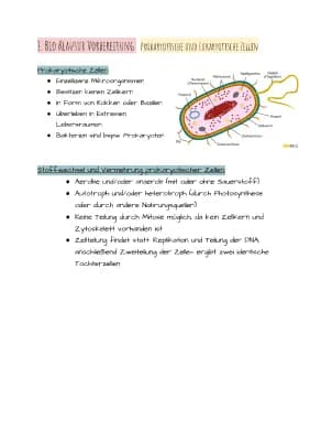 Know 1. EF Biologie Klausur Vorbereitung  thumbnail