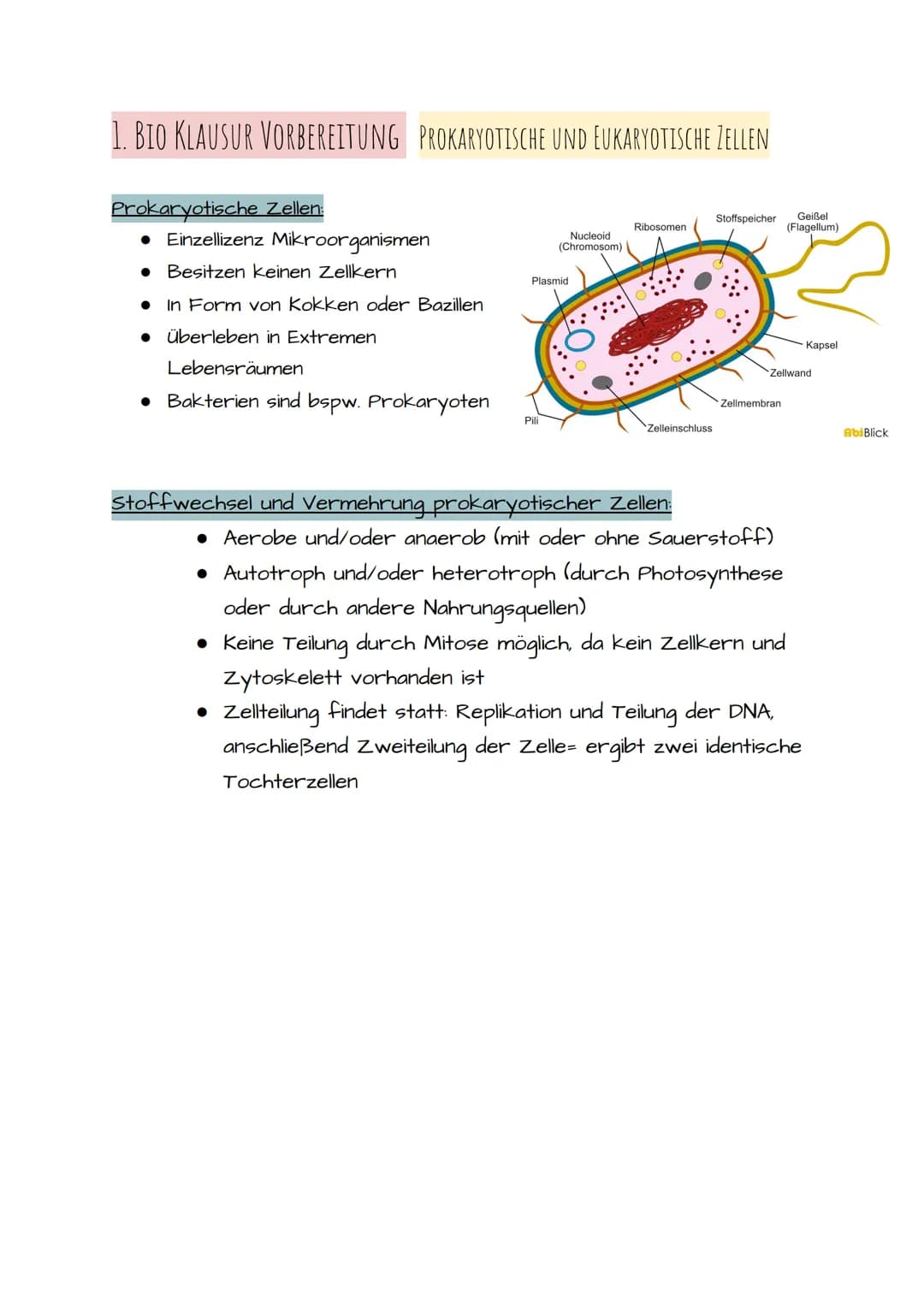 1. BIO KLAUSUR VORBEREITUNG PROKARYOTISCHE UND EUKARYOTISCHE ZELLEN
Prokaryotische Zellen:
• Einzellizenz Mikroorganismen
• Besitzen keinen 