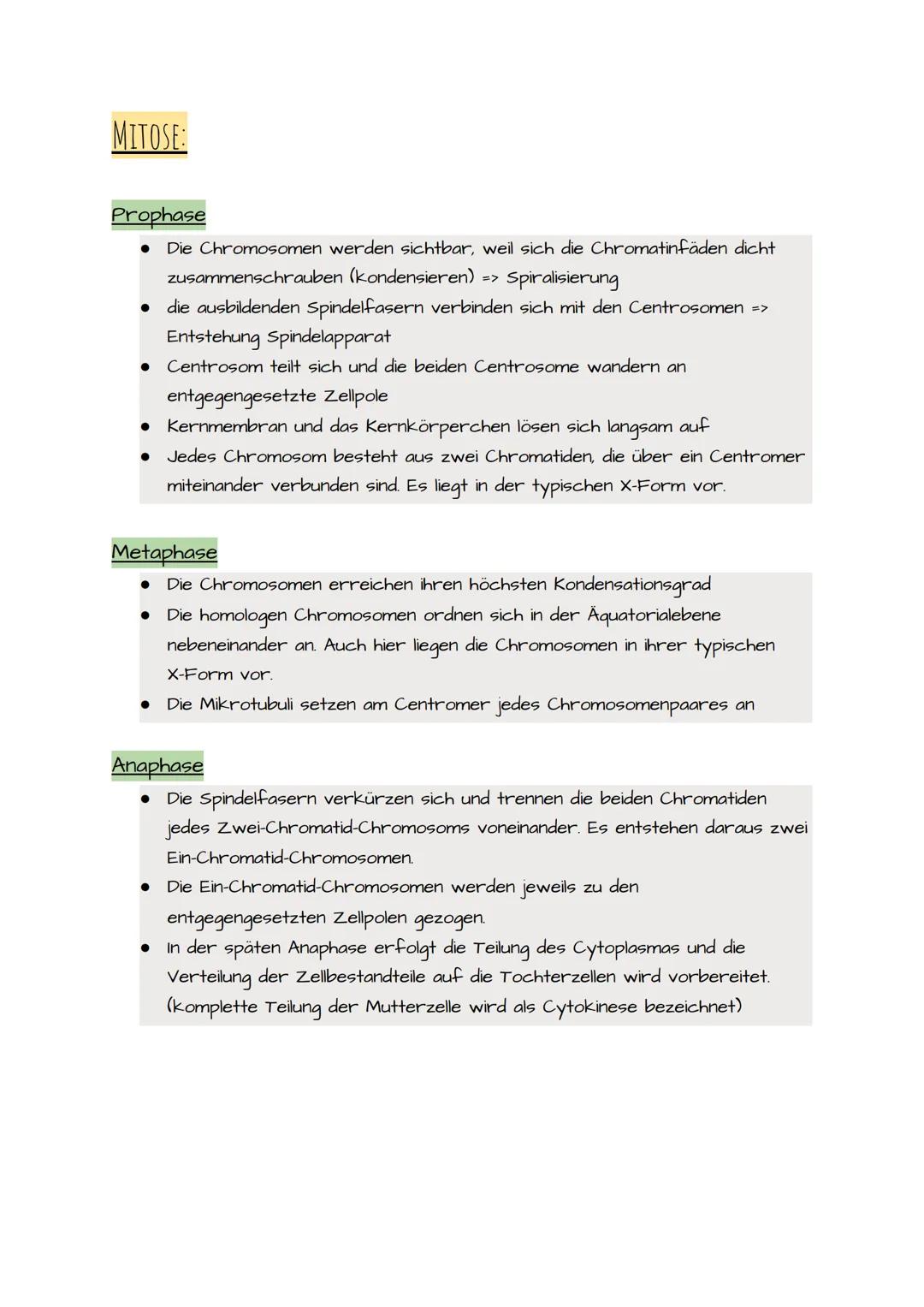 1. BIO KLAUSUR VORBEREITUNG PROKARYOTISCHE UND EUKARYOTISCHE ZELLEN
Prokaryotische Zellen:
• Einzellizenz Mikroorganismen
• Besitzen keinen 