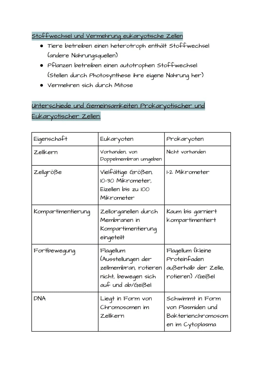 1. BIO KLAUSUR VORBEREITUNG PROKARYOTISCHE UND EUKARYOTISCHE ZELLEN
Prokaryotische Zellen:
• Einzellizenz Mikroorganismen
• Besitzen keinen 