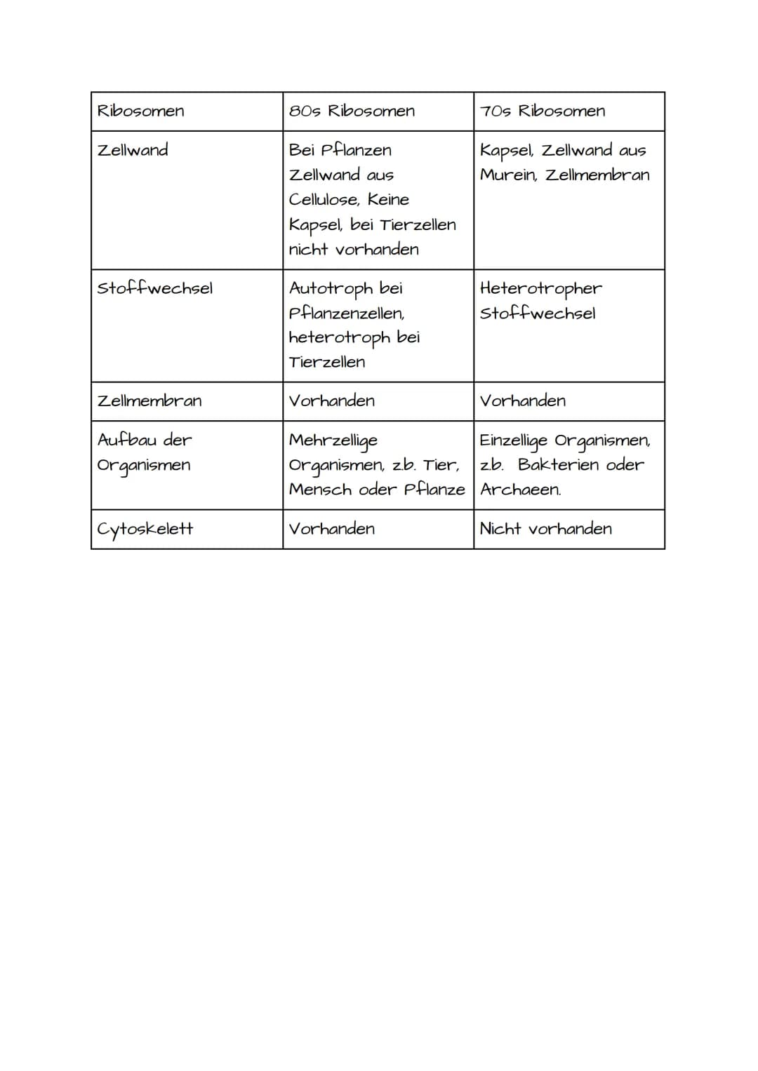 1. BIO KLAUSUR VORBEREITUNG PROKARYOTISCHE UND EUKARYOTISCHE ZELLEN
Prokaryotische Zellen:
• Einzellizenz Mikroorganismen
• Besitzen keinen 