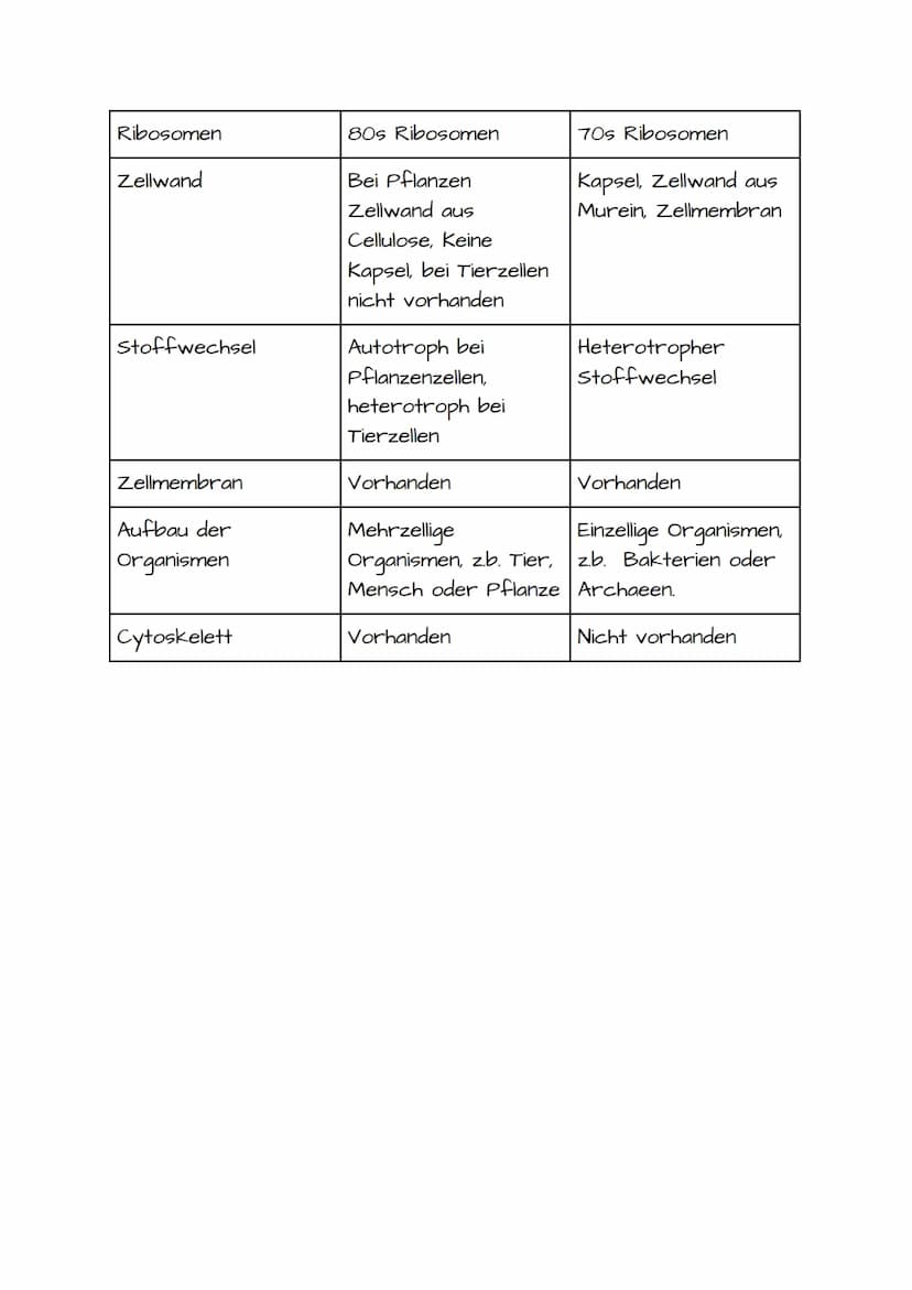 1. BIO KLAUSUR VORBEREITUNG PROKARYOTISCHE UND EUKARYOTISCHE ZELLEN
Prokaryotische Zellen:
• Einzellizenz Mikroorganismen
• Besitzen keinen 