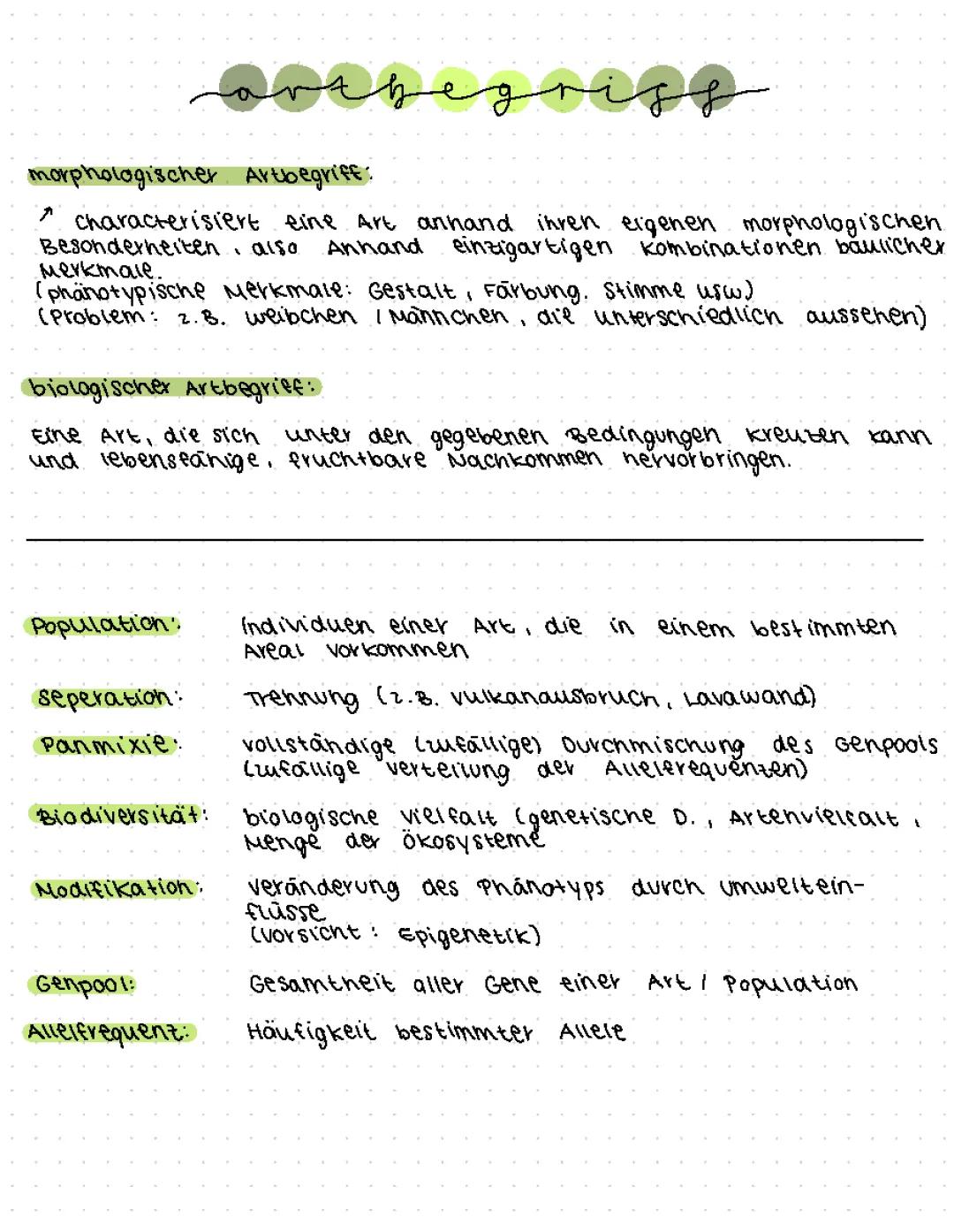 Einfach erklärt: Der morphologische, phylogenetische und biologische Artbegriff