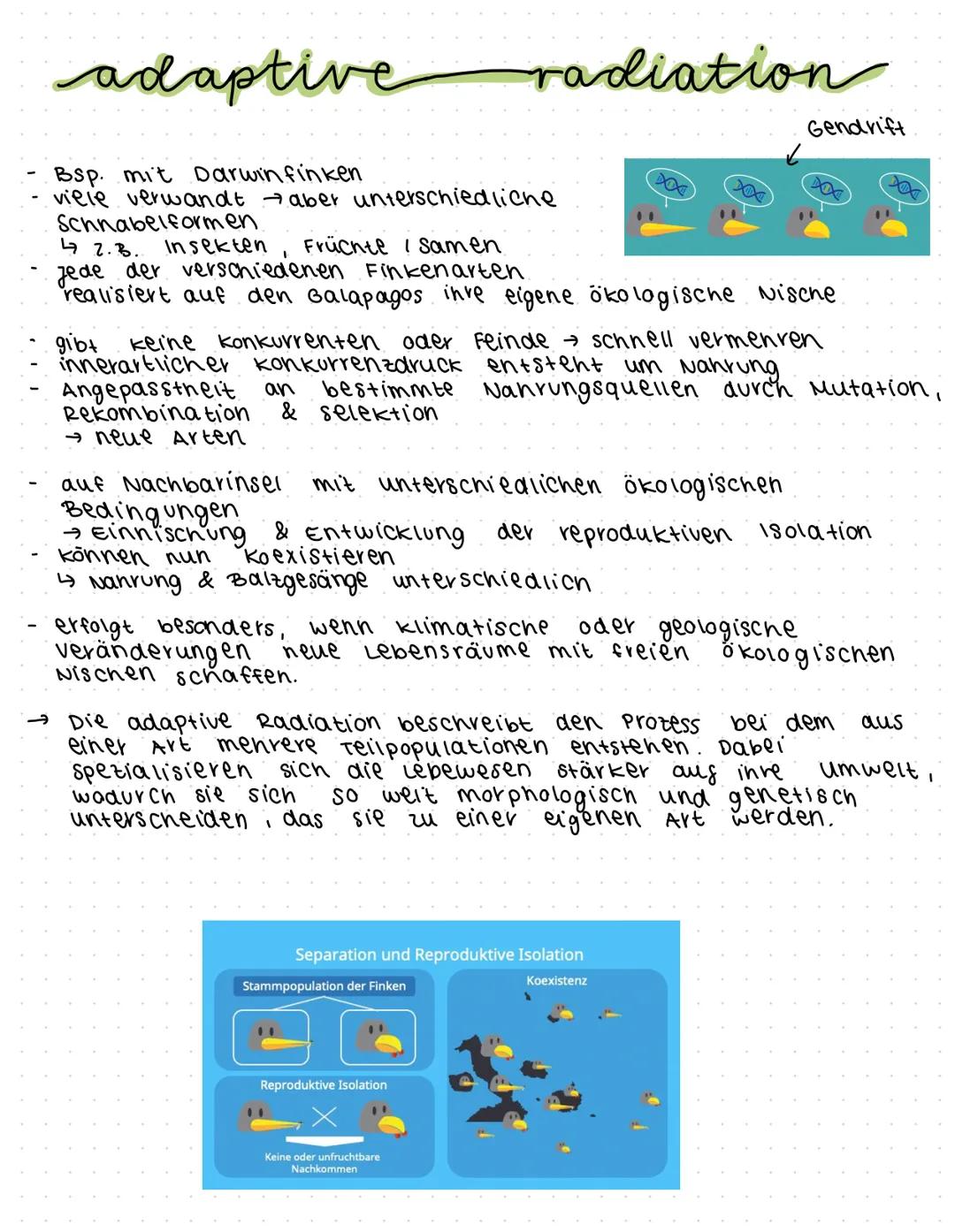 morphologischer Artbegriff:
characterisiert eine Art anhand ihren eigenen morphologischen
Besonderheiten V also Anhand einzigartigen kombina