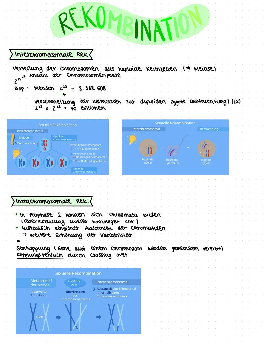 morphologischer Artbegriff:
characterisiert eine Art anhand ihren eigenen morphologischen
Besonderheiten V also Anhand einzigartigen kombina