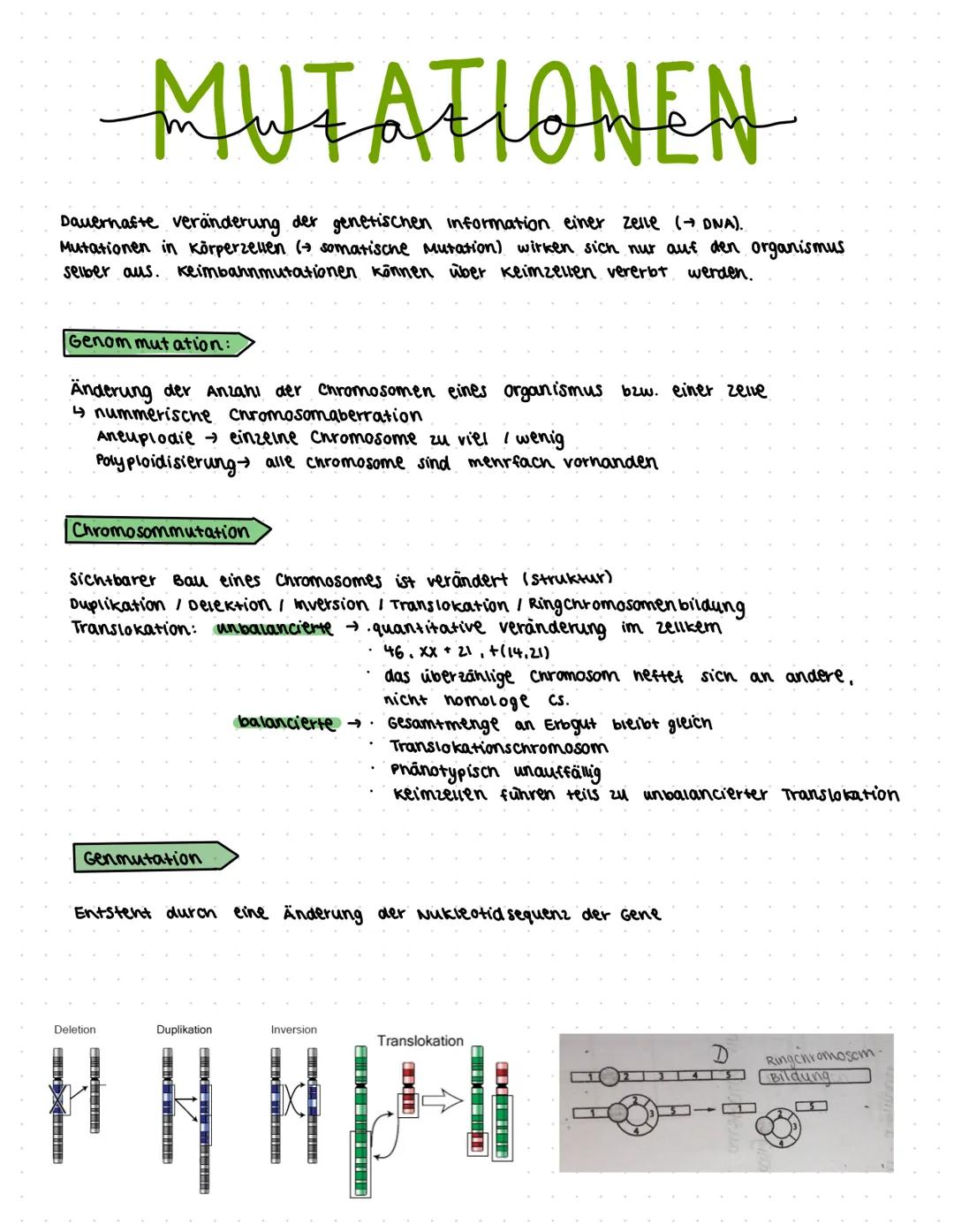 morphologischer Artbegriff:
characterisiert eine Art anhand ihren eigenen morphologischen
Besonderheiten V also Anhand einzigartigen kombina