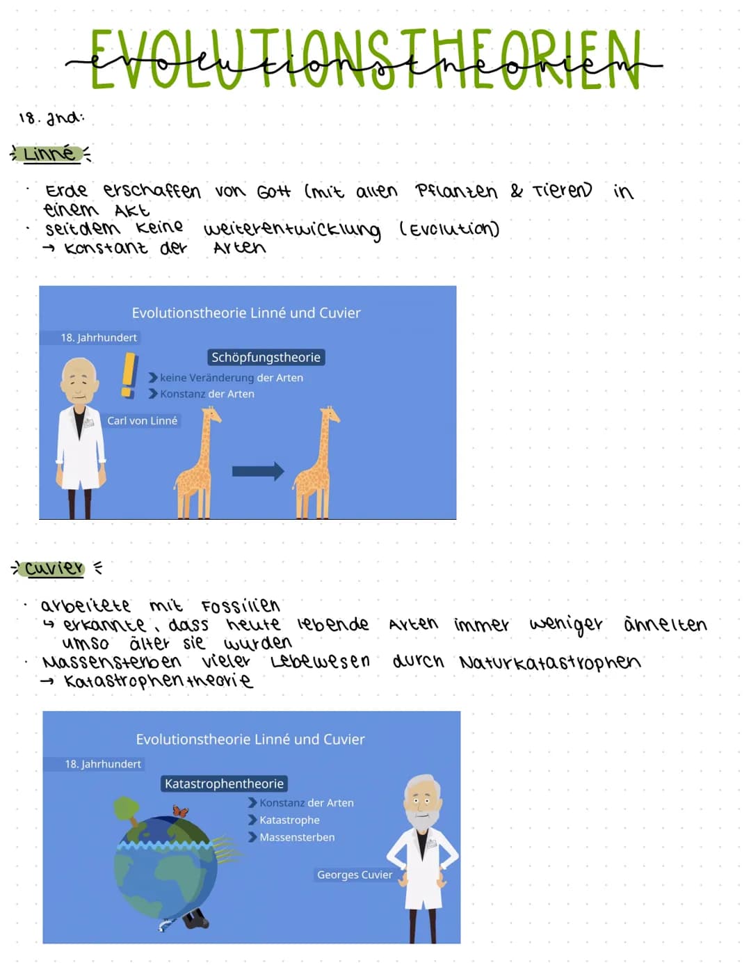 morphologischer Artbegriff:
characterisiert eine Art anhand ihren eigenen morphologischen
Besonderheiten V also Anhand einzigartigen kombina