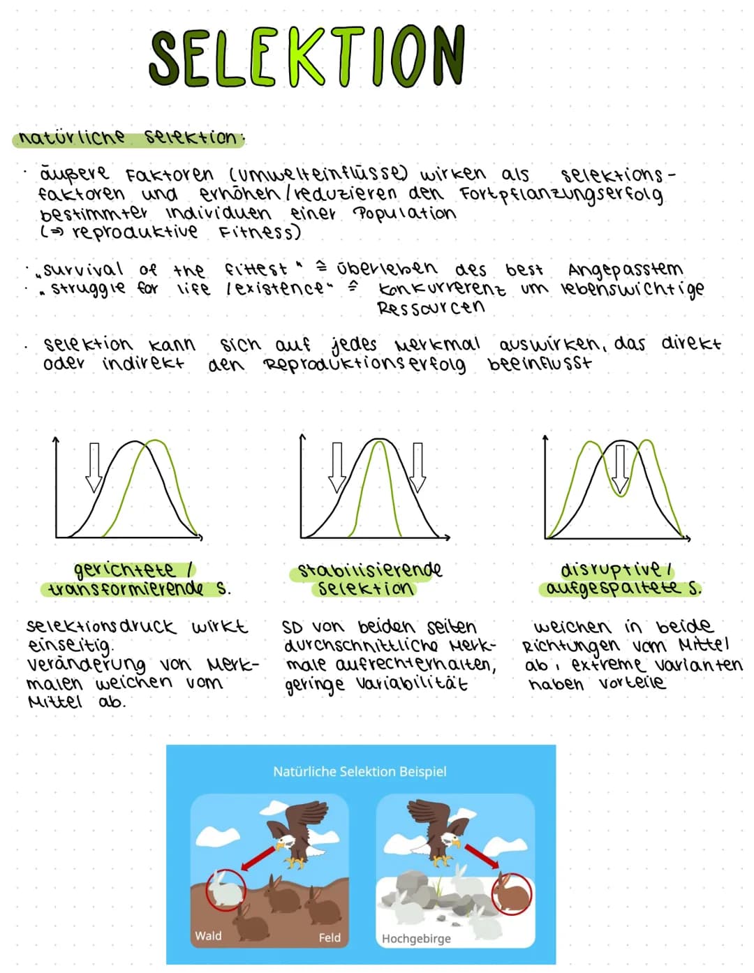 morphologischer Artbegriff:
characterisiert eine Art anhand ihren eigenen morphologischen
Besonderheiten V also Anhand einzigartigen kombina