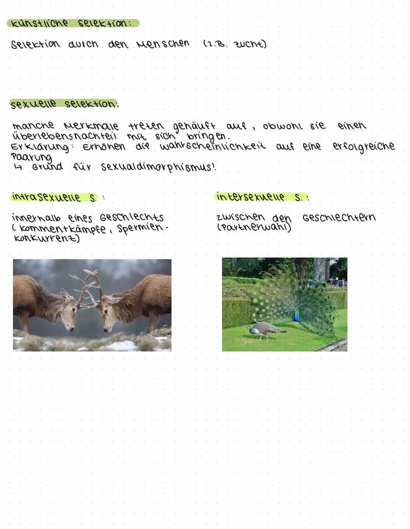 morphologischer Artbegriff:
characterisiert eine Art anhand ihren eigenen morphologischen
Besonderheiten V also Anhand einzigartigen kombina